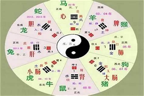 宣 五行|宣字的五行属性是什么